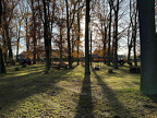 2024-11-23 Backhaus Laubharkaktion Aufnahmen von Michael Hirata 034